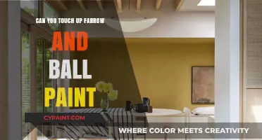 Reviving Elegance: Touching Up Farrow & Ball Paint for Timeless Beauty
