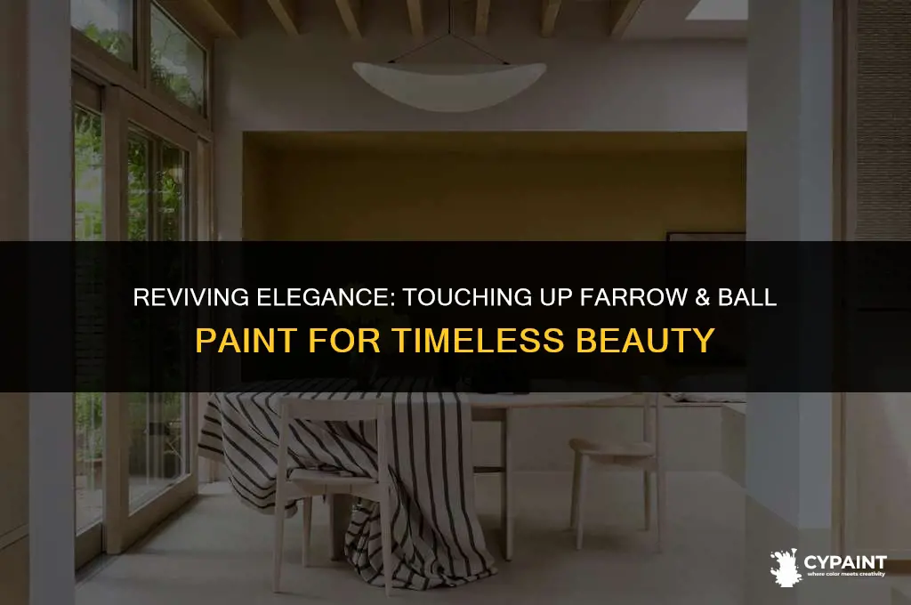 can you touch up farrow and ball paint