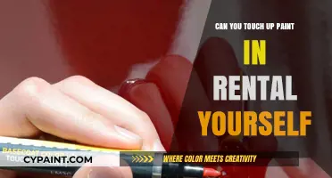 DIY Paint Touch-Ups in Rentals: A Handy Guide for Tenants