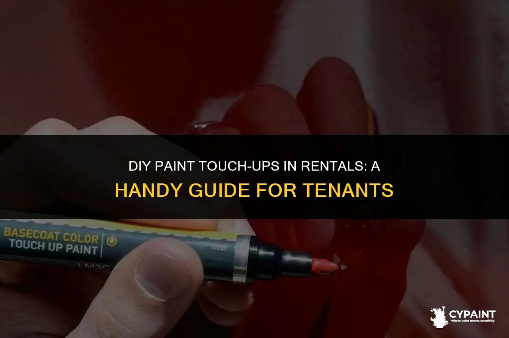 can you touch up paint in rental yourself