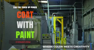Reviving Your Ride: Touching Up Power Coat with Paint