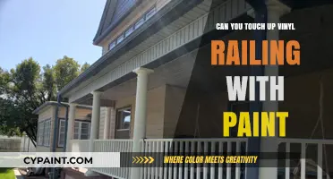 Revamping Vinyl Railings: A Simple Touch-Up with Paint