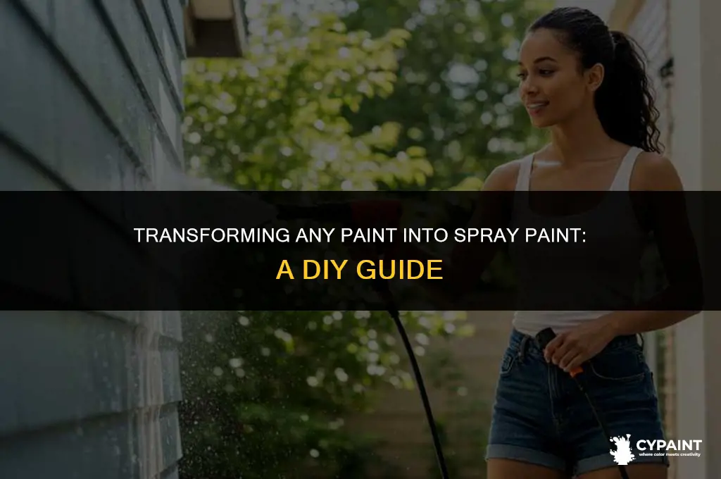 can you turn any paint into sprat paint