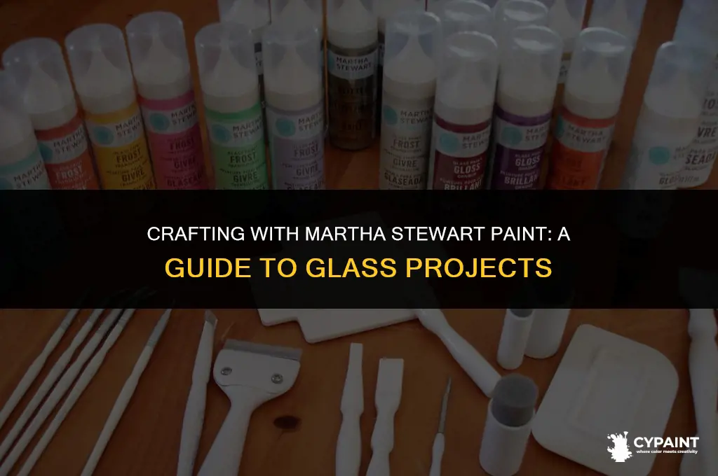 can you ude martha stewart paint on glass