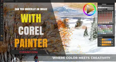 Exploring Image Underlays in Corel Painter: A Comprehensive Guide