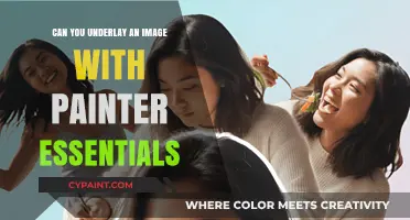 Exploring Image Underlays with Painter Essentials: A Creative Guide