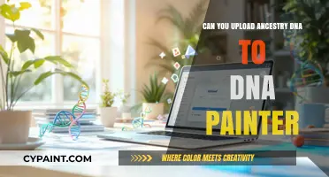Unraveling Genealogy: Uploading Ancestry DNA to DNA Painter