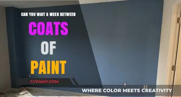 How Long to Wait Between Coats of Paint?