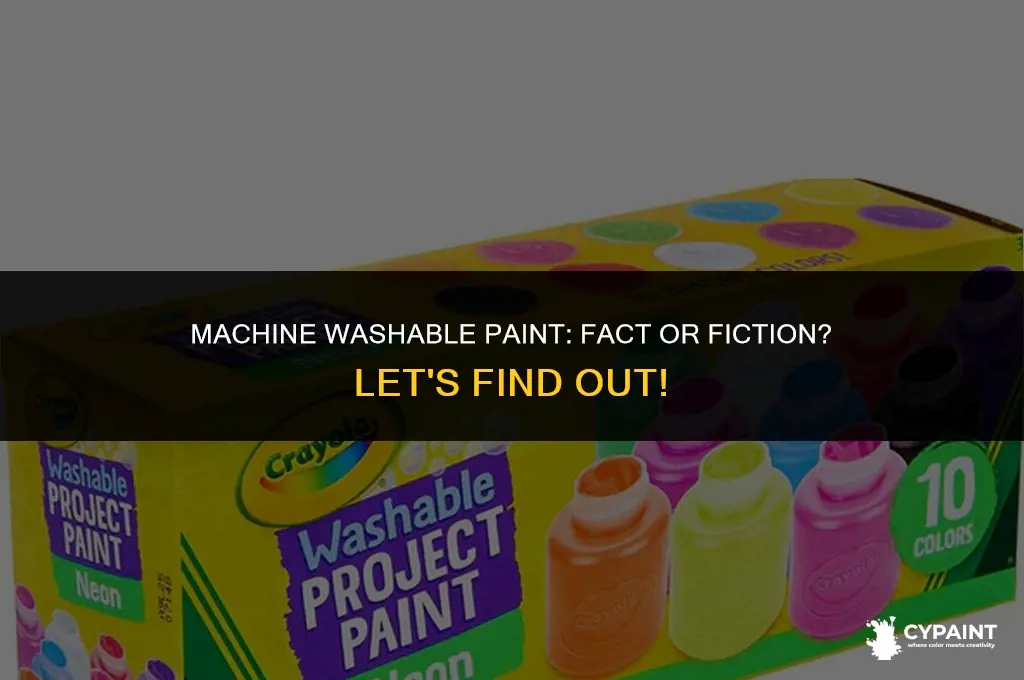 can you wash paint off in washing machine