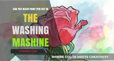 Washing Paint Pen Stains: Can Your Machine Handle the Cleanup?