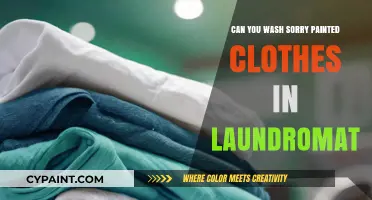 Laundromat Dilemmas: Washing Clothes with Sorry Paints