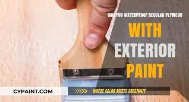 Enhancing Plywood Durability: Waterproofing with Exterior Paint
