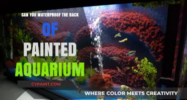 Protecting Your Painted Aquarium: A Guide to Waterproofing the Back
