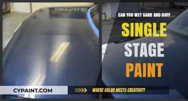 Wet Sanding and Buffing Single-Stage Paint: Pros and Cons