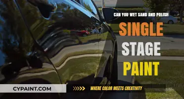 Single-Stage Paint: Wet Sanding and Polishing Techniques