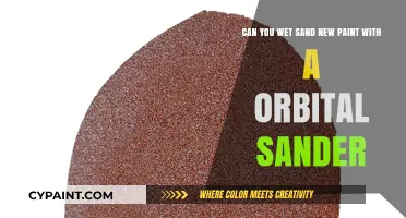 Wet Sanding New Paint: Orbital Sander Tips and Techniques