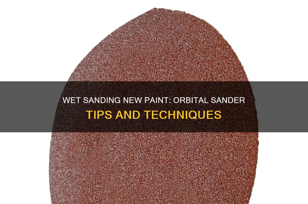 can you wet sand new paint with a orbital sander
