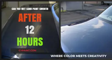 Wet Sanding After 12 Hours: Achieving Smooth Paint Perfection