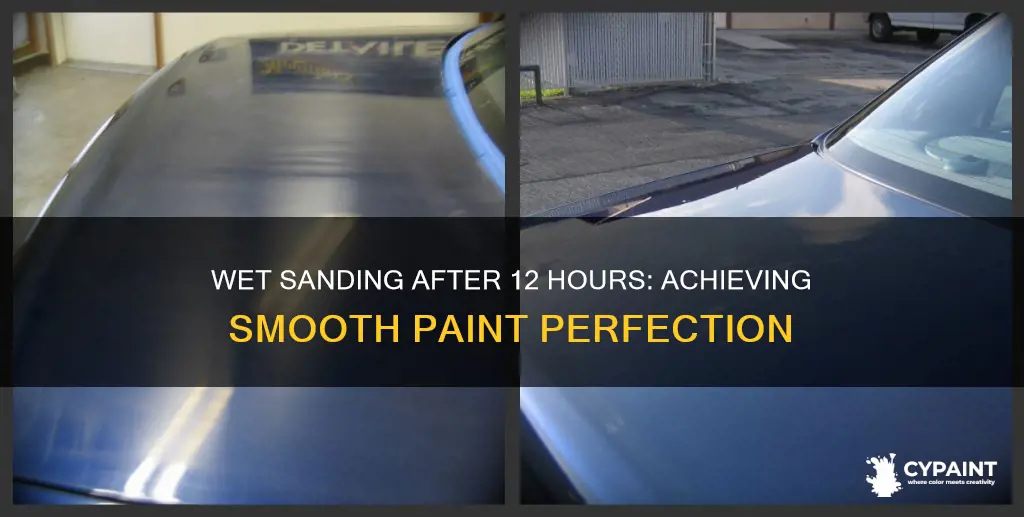 can you wet sand paint smooth after 12 hours