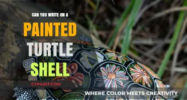 Exploring the Art of Writing on Painted Turtle Shells