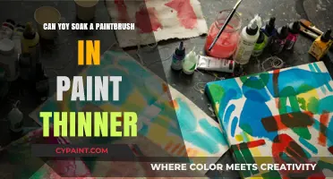Solvent Soaking: The Do's and Don'ts for Paintbrush Care