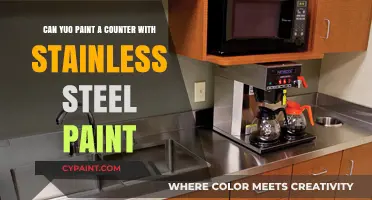 Transform Your Countertop with Stainless Steel Paint