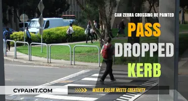 Enhancing Accessibility: Can Zebra Crossings Extend Past Dropped Kerbs?