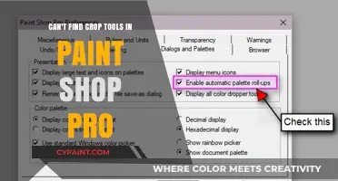 Where is the Crop Tool in PaintShop Pro?