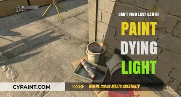 Where is the Last Can of Paint in Dying Light?