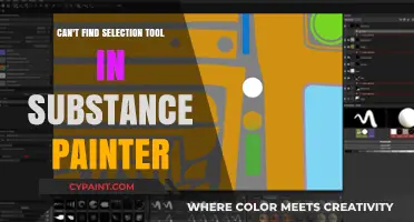 Troubleshooting Substance Painter: Where's the Selection Tool?