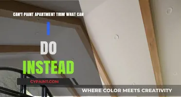 Creative Alternatives to Painting Apartment Trim: Stylish, Landlord-Friendly Solutions