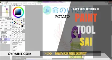 Troubleshooting Paint Tool SAI: Why You Can't Save Your Work