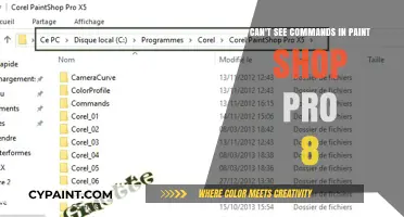 Paint Shop Pro 8: Missing Commands?