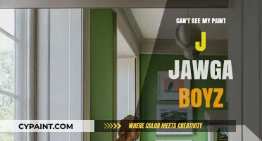 Unveiling the Mystery: Paint J Jawga Boyz Invisible Art