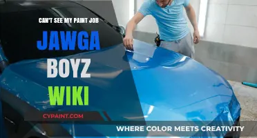 Jawga Boyz's Paint Job: A Wiki Mystery