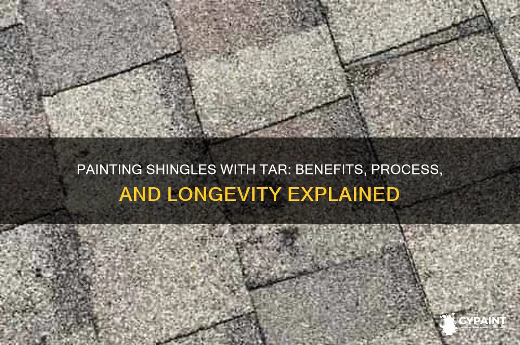 could a shingles roof be painted with tar