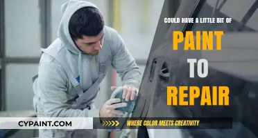 Easy DIY: Repairing with a Little Paint