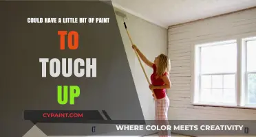 Simple Paint Touch-Ups: Revitalize Your Space with Minimal Effort