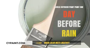 Painting Before Rain: Can Outdoor Paint Withstand a Day of Moisture?