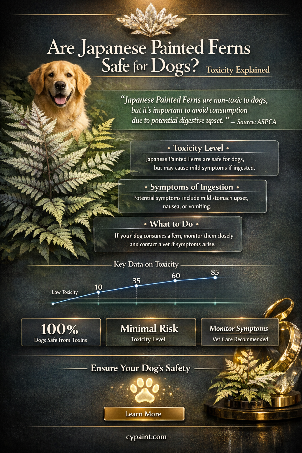 are japanese painted ferns poisonous to dogs