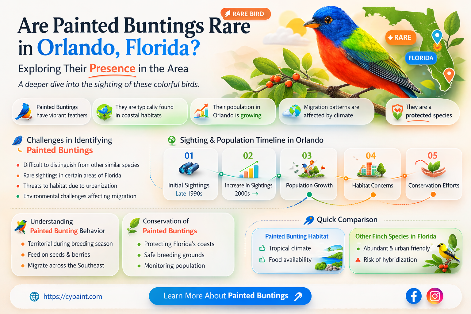 are painted buntings rare in florida orlando