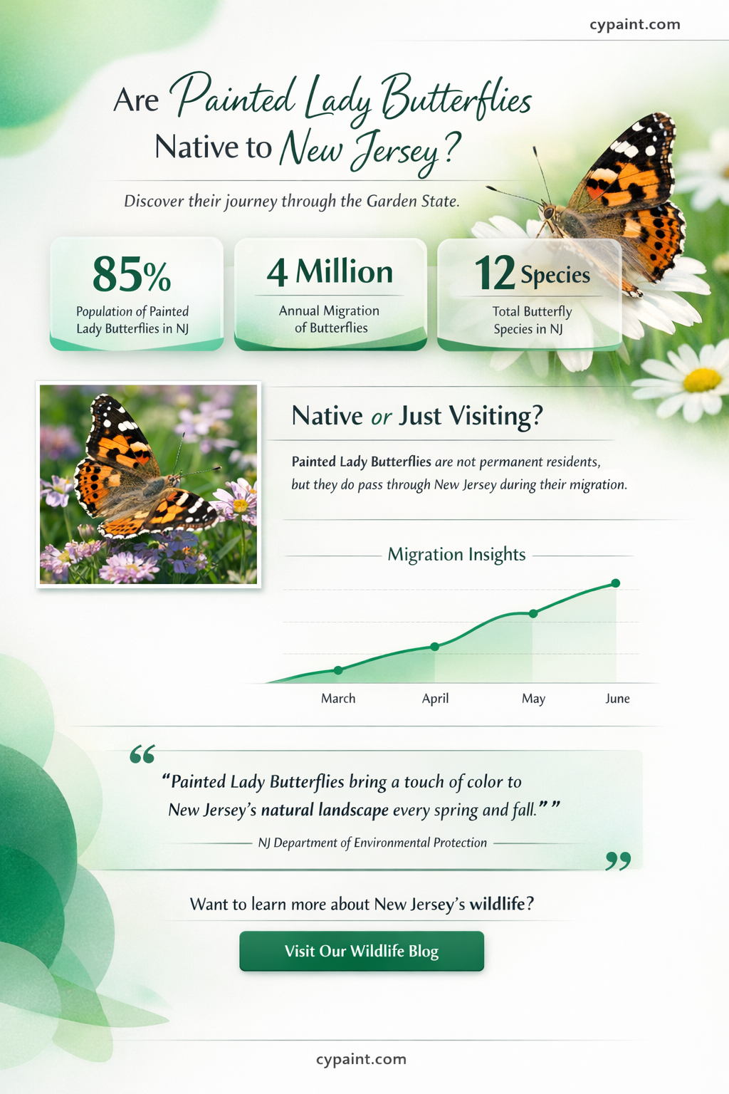 are painted lady butterflies native to nj