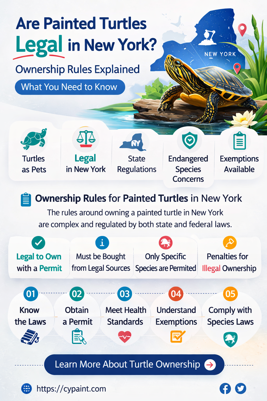are painted turtles legal in new york
