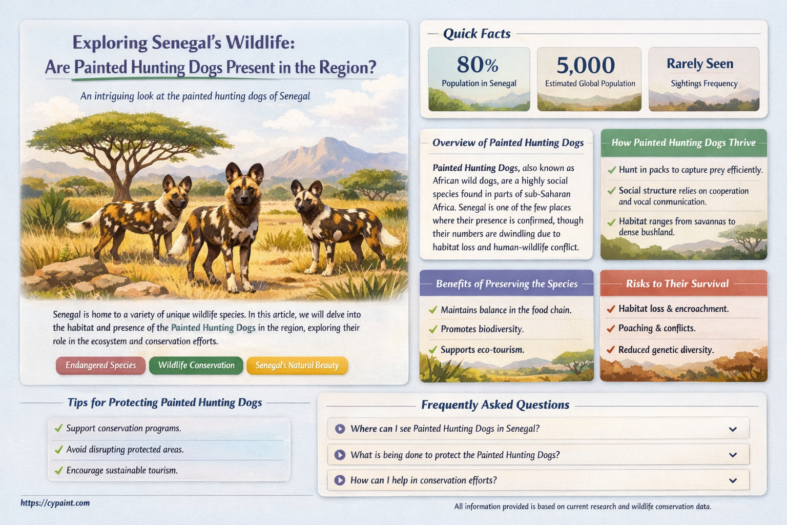 are painted hunting dogs found in senegal