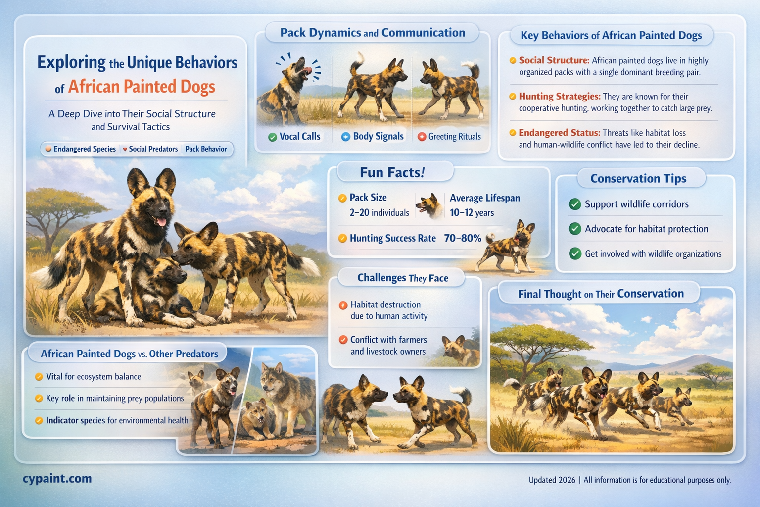 are the typical behaviors of african painted dogs