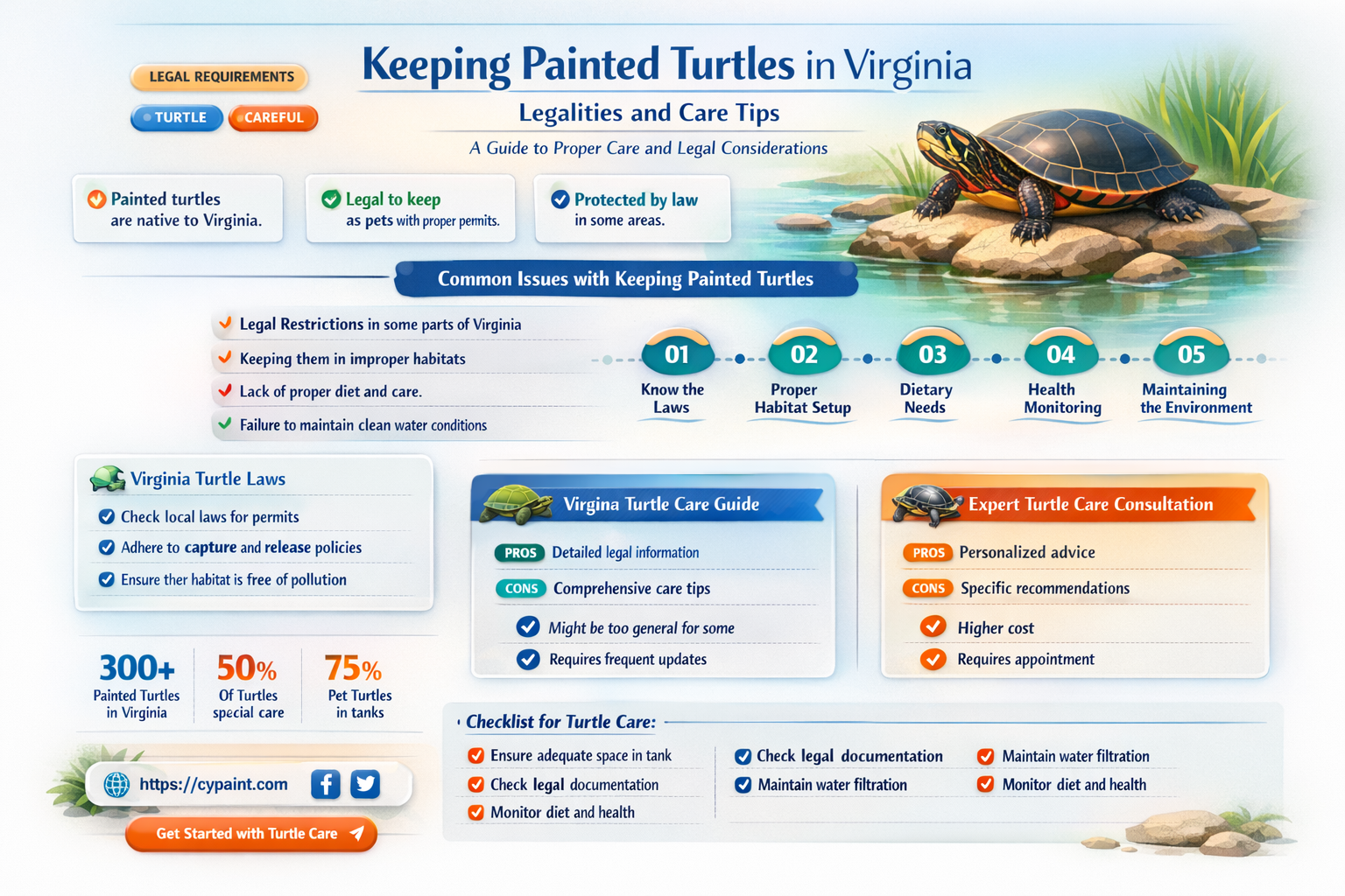 are you allowed to keep a painted turtle in vigina