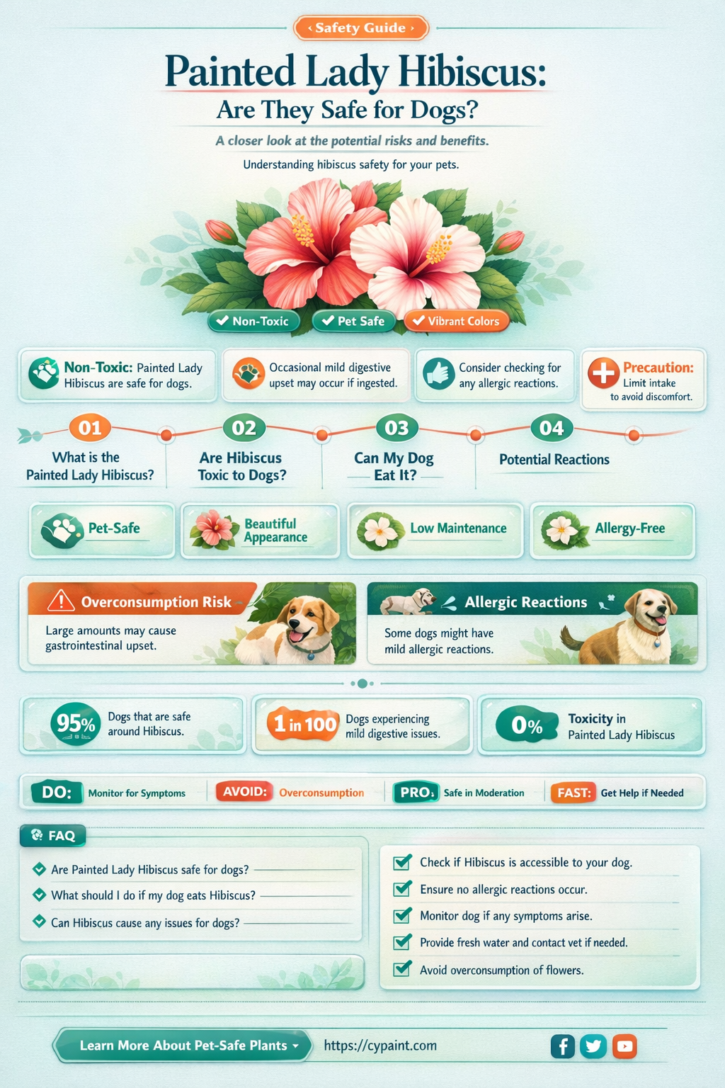 are painted lady hibiscus toxic to dogs