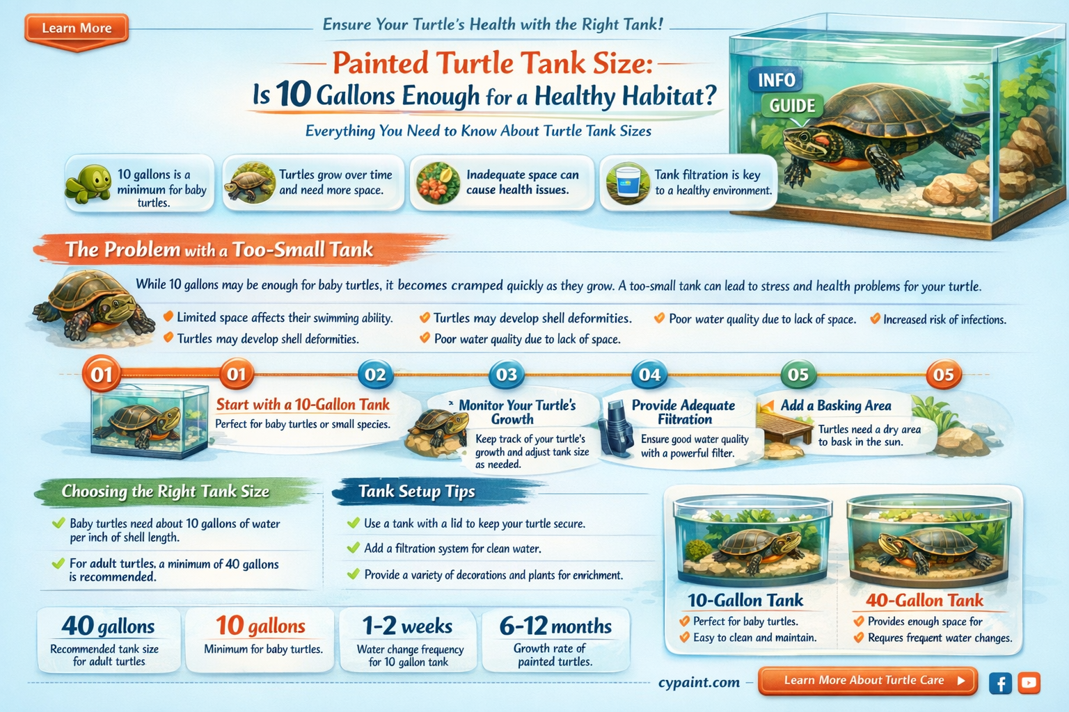 can a painted turtle live in a 10 gallon tank