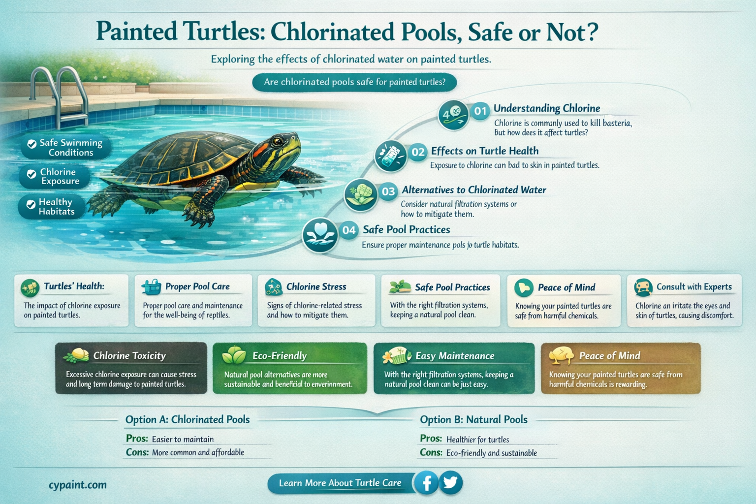 can a painted turtle swim in a chlorinated pool