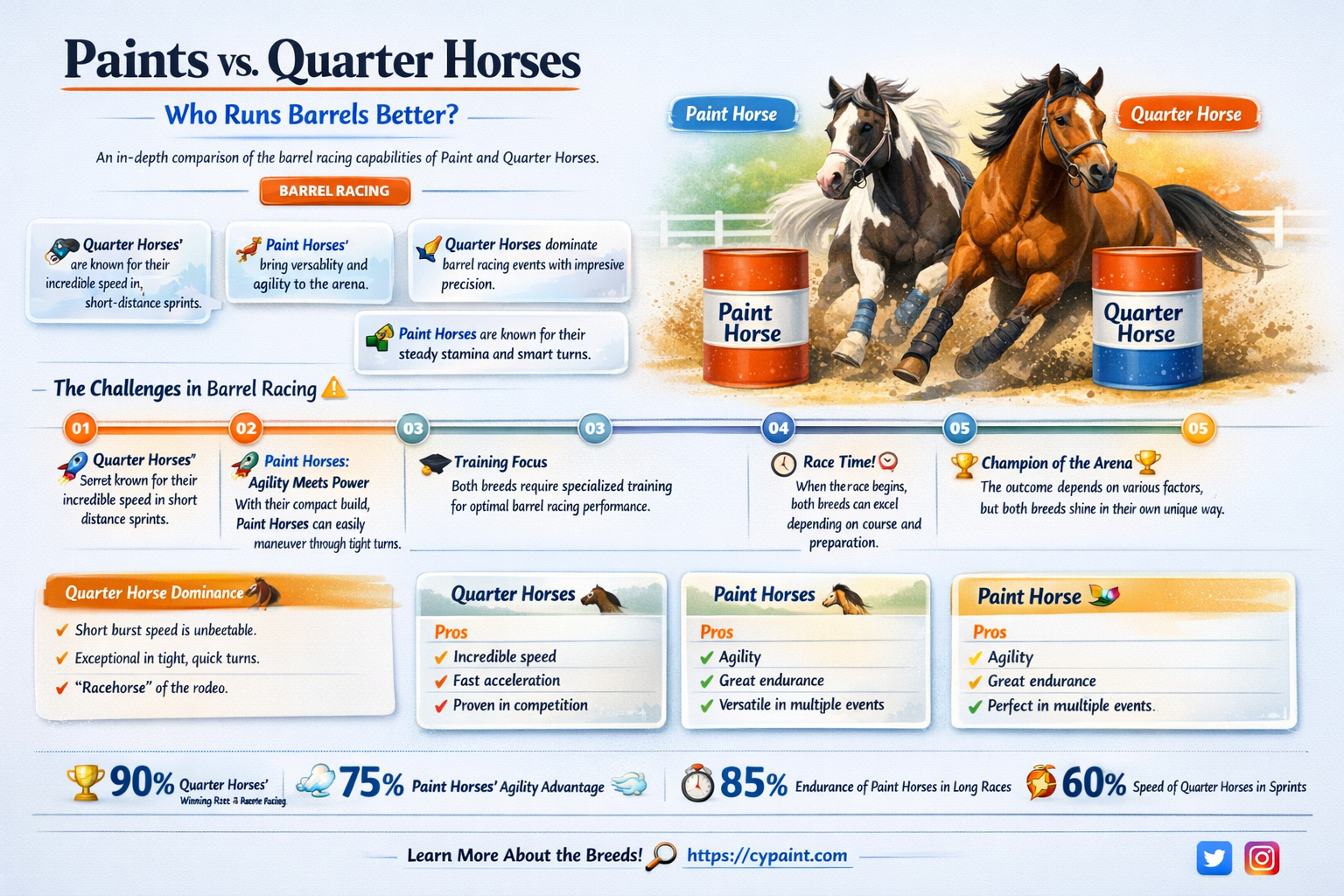 are quarter horses or paints better at barrel racing